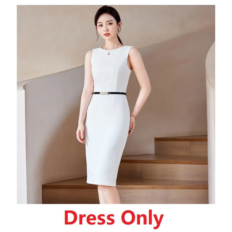 Women’s Dress & Blazer Set – Office Chic Two-Piece