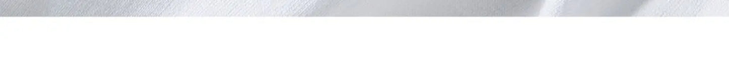 300g Heavyweight Basic Tee — Premium Cotton