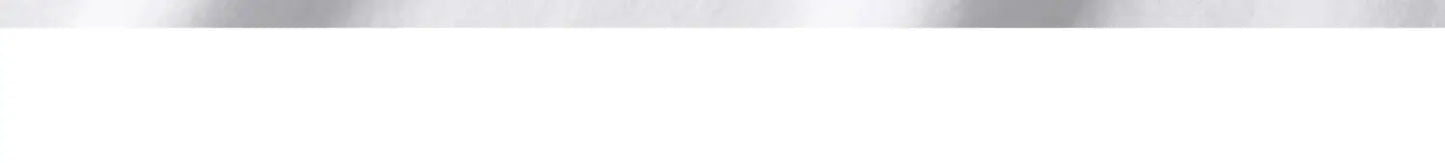 300g Heavyweight Basic Tee — Premium Cotton