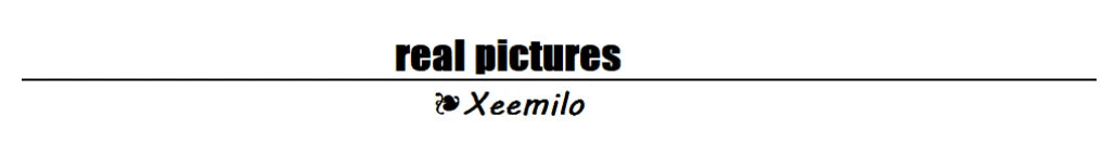 Xeemilo Elegant Mesh Evening Dress  Xeemilo Ruffle Maxi Party Dress